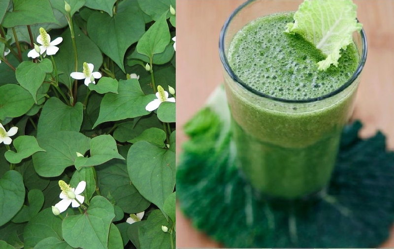 Các cách thải độc da nhiễm corticoid tại nhà hiệu quả 2