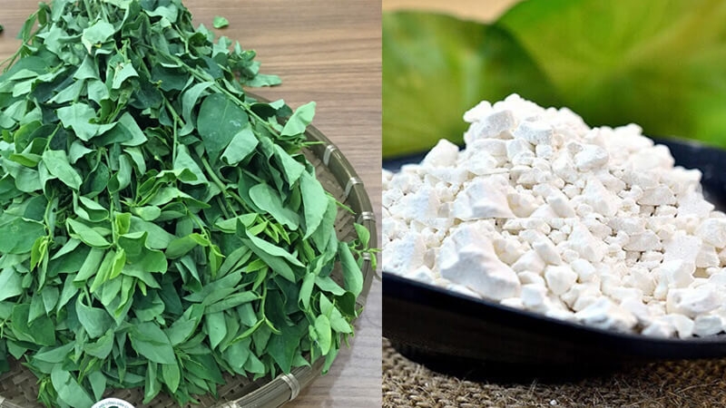 Các cách trị nám bằng rau ngót hiệu quả ngay tại nhà 2