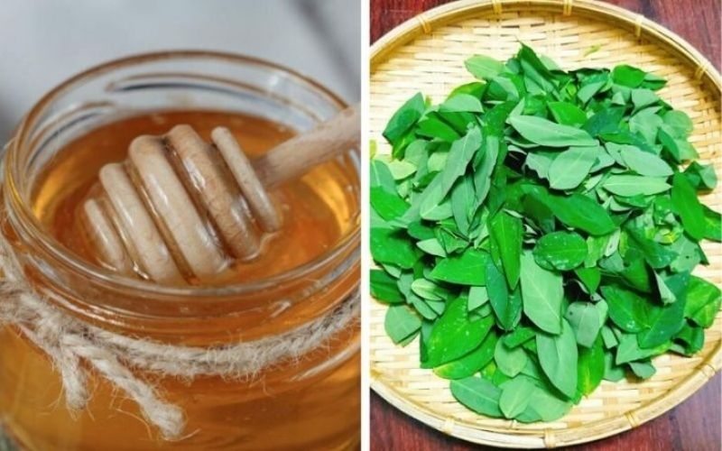 Các cách trị nám bằng rau ngót hiệu quả ngay tại nhà 3