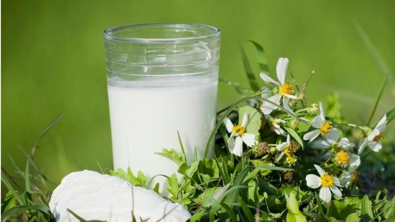 Các cách uống bột sắn dây giảm cân cực kỳ hiệu quả 3