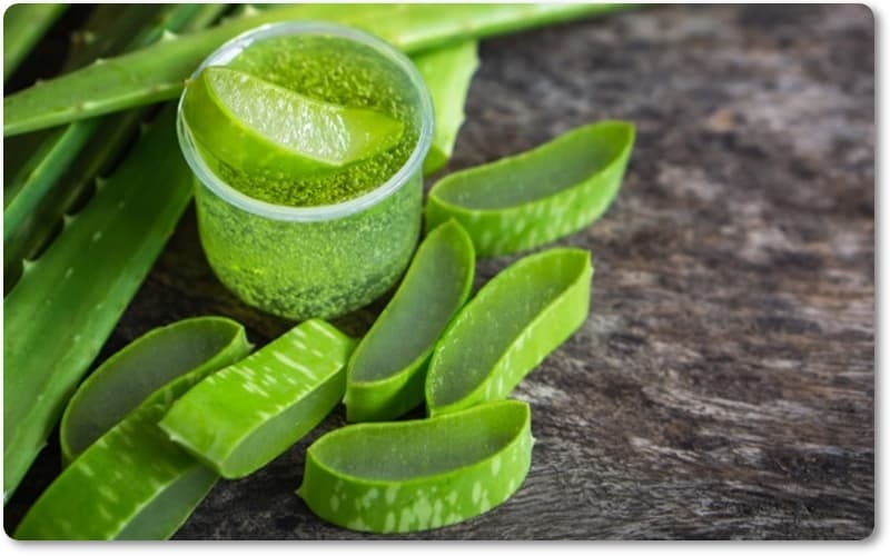 Chất thay thế gel bôi trơn chuyên dụng: nha đam