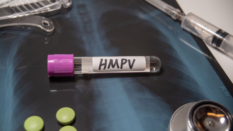 Các chủng hMPV mới có liên quan đến sự gia tăng các bệnh nhiễm trùng đường hô hấp ở trẻ nhỏ 1