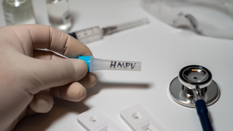 Các chủng hMPV mới có liên quan đến sự gia tăng các bệnh nhiễm trùng đường hô hấp ở trẻ nhỏ 4