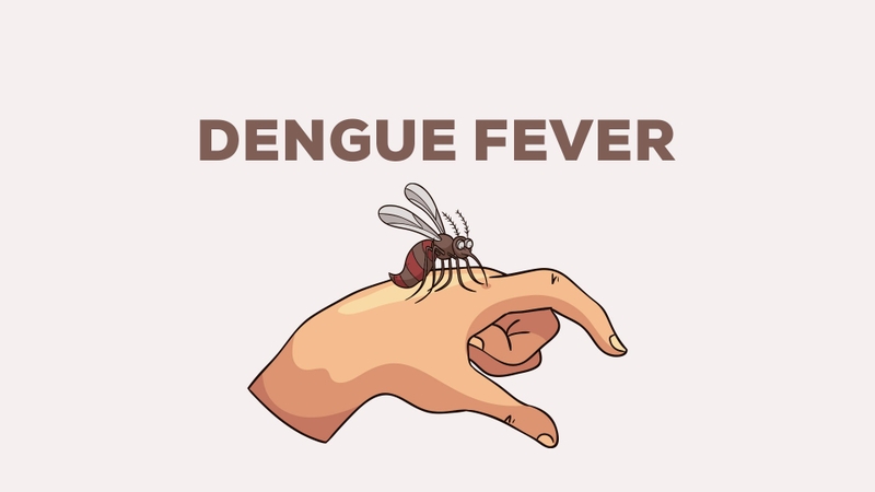 Các dấu hiệu bệnh sốt xuất huyết cần biết để xử trí kịp thời! 1
