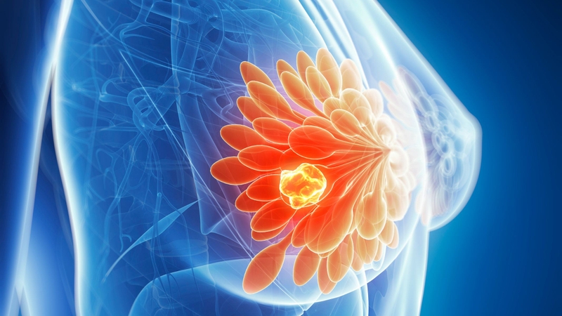 Các dấu hiệu dậy thì ở bé gái và những thay đổi của cơ thể 2