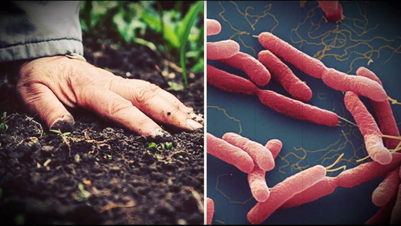 Các dấu hiệu, triệu chứng bệnh Whitmore bạn nên biết