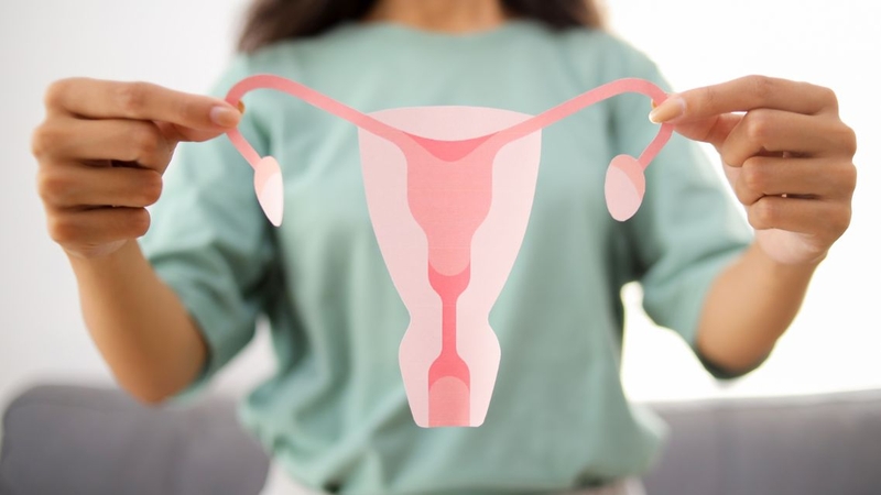 Chu kỳ kinh nguyệt trải qua nhiều thay đổi về hormone và cơ quan sinh sản