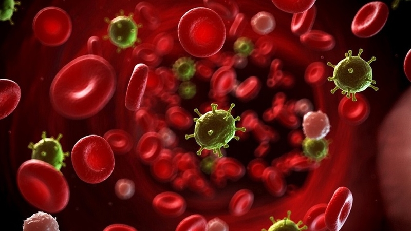 Các giai đoạn của nhiễm khuẩn huyết: Nguy cơ, dấu hiệu và phương pháp điều trị 1