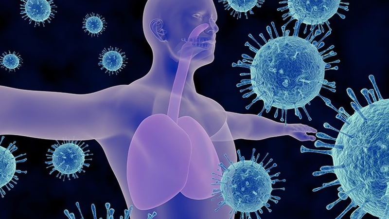 Các giai đoạn của nhiễm khuẩn huyết: Nguy cơ, dấu hiệu và phương pháp điều trị 2