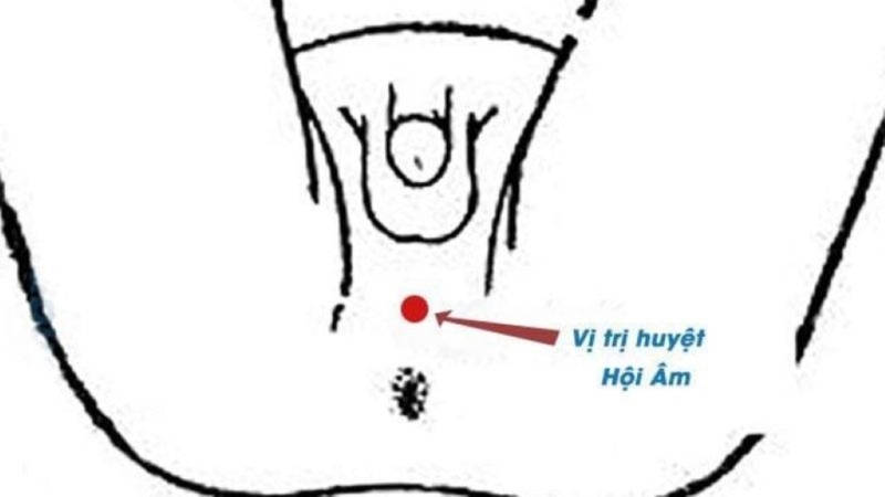 Các huyệt ở vùng kín và tác dụng chữa bệnh 1