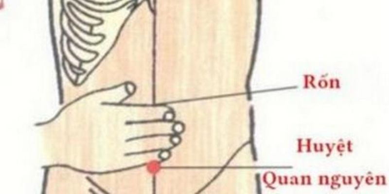 Các huyệt ở vùng kín và tác dụng chữa bệnh 2