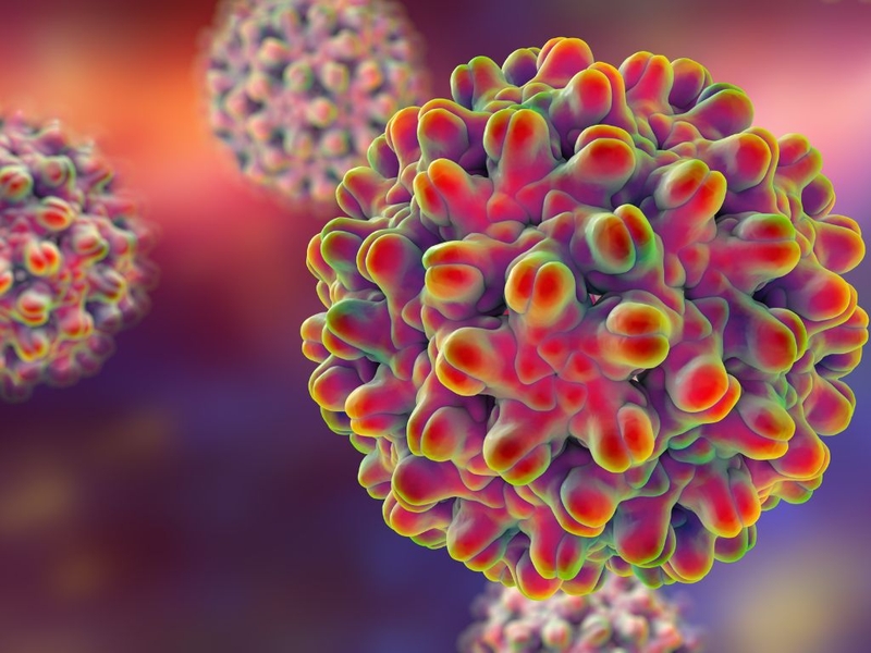 Các kháng nguyên virus viêm gan B và vai trò của chúng trong chẩn đoán bệnh 1