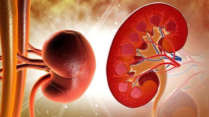 Các kỹ thuật lọc máu trong hồi sức phổ biến 3