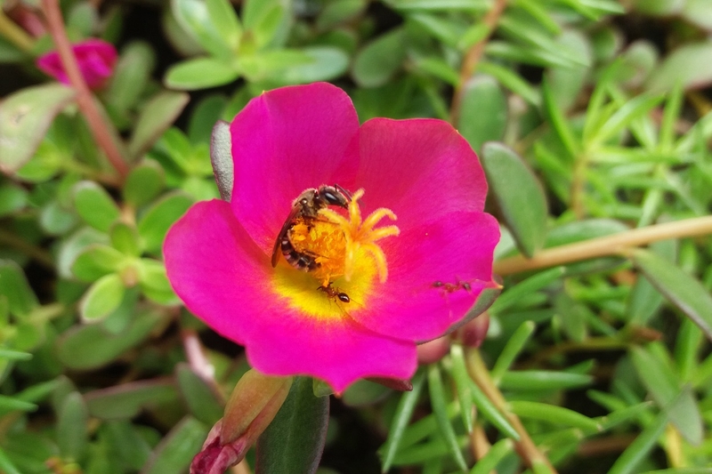 Nhất định bạn phải biết các loại bệnh dị ứng thường gặp 1