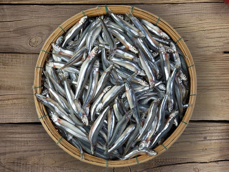 Các loại cá không chứa thủy ngân mà bạn cần biết2