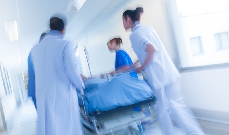 Các loại cá không nên ăn khi cho con bú 3