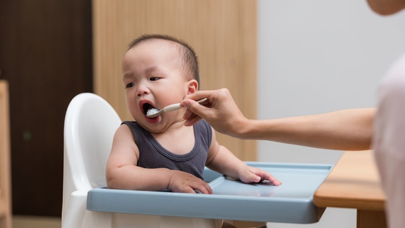 Một số loại cá dễ kiếm, giá rẻ nhưng vẫn giàu dinh dưỡng và tốt cho trẻ