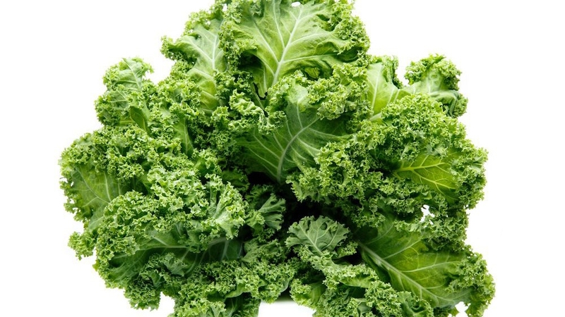 Các loại cải kale: Giá trị dinh dưỡng và phân loại chi tiết 3