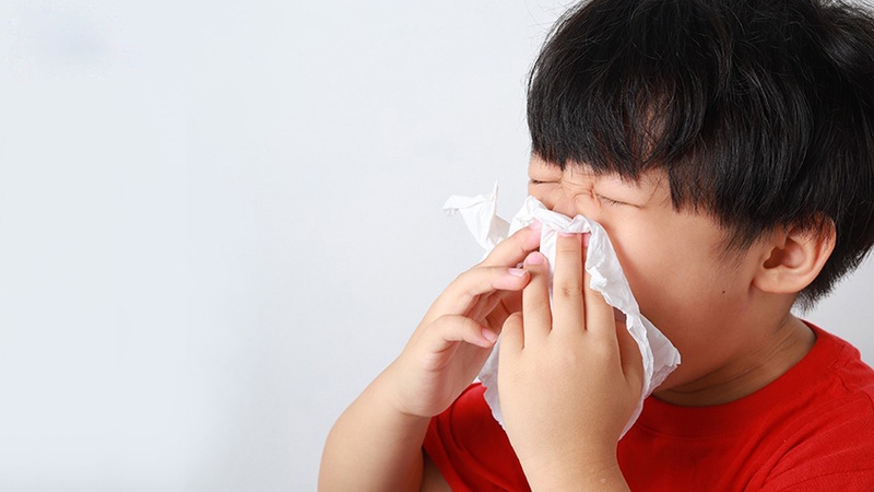 Các loại dị ứng​ thường gặp và cách phòng ngừa hiệu quả 3