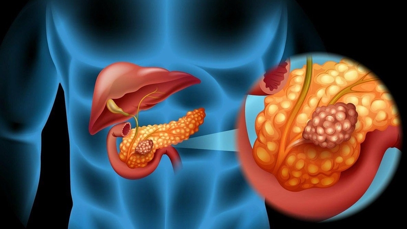 Các loại enzyme trong cơ thể người và vai trò của chúng ra sao? 3