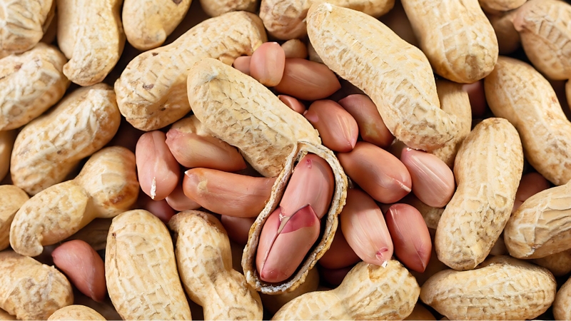 Đậu phộng là một trong các loại hạt giàu protein phổ biến