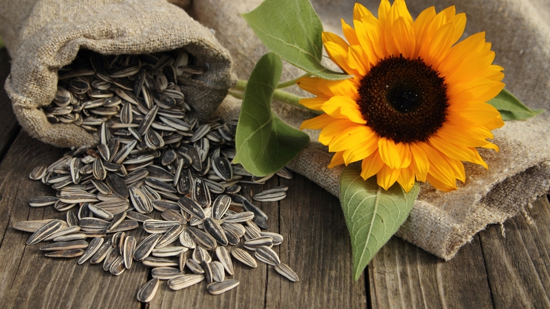 Các loại hạt không nên ăn: Những lựa chọn có thể gây hại cho sức khỏe 3