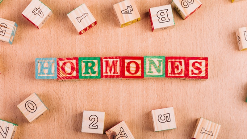Hoocmon trong cơ thể rất quan trọng cho sức khỏe