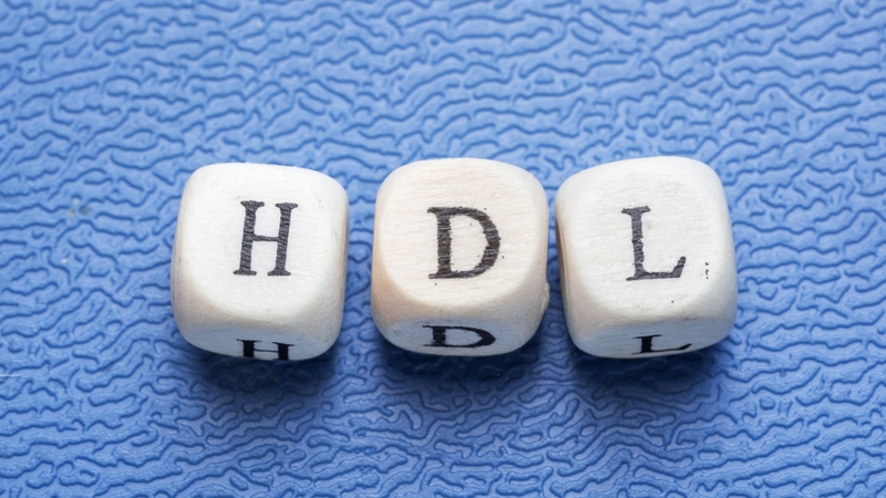 Các loại lipoprotein​ và ý nghĩa của chúng đối với sức khỏe tim mạch 3