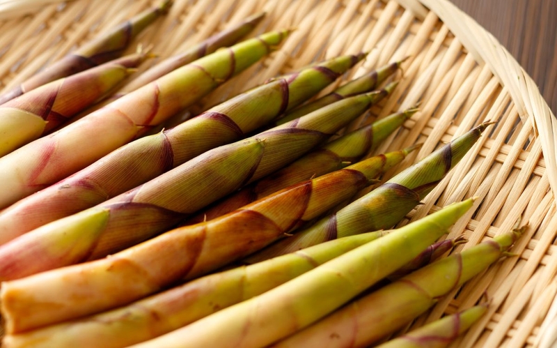 Tổng hợp các loại măng​ tươi, ngon phổ biến trong ẩm thực Việt 3