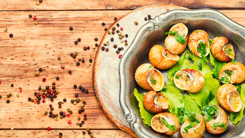 cac-loai-oc-bien-mang-lai-loi-ich-gi-cho-suc-khoe 2