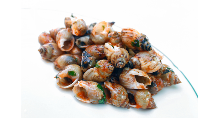 cac-loai-oc-bien-mang-lai-loi-ich-gi-cho-suc-khoe 3