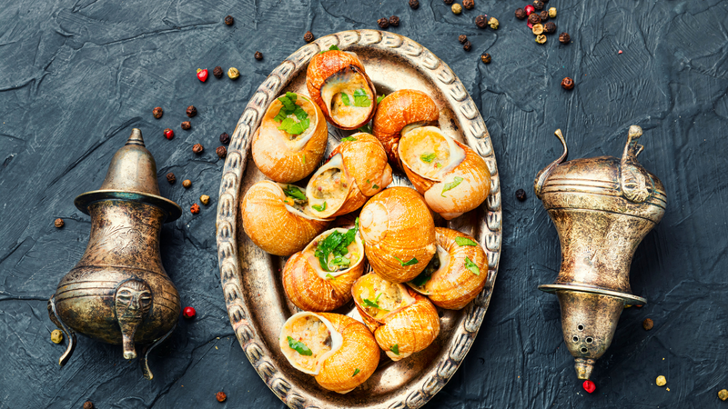 cac-loai-oc-bien-mang-lai-loi-ich-gi-cho-suc-khoe 4