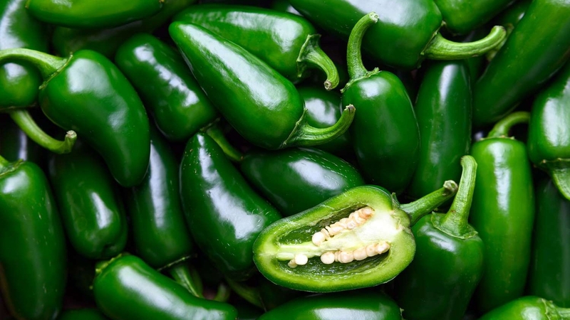 Ớt Jalapeño có vị cay độc đáo, thường dùng ăn trực tiếp hoặc muối chua