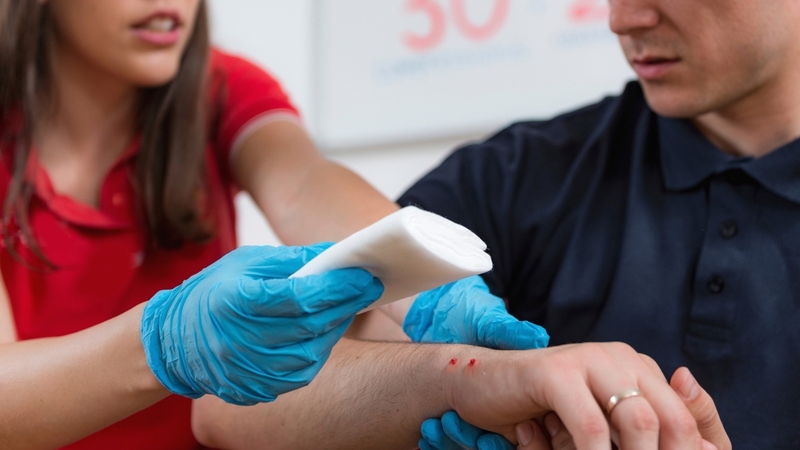 Các bước sơ cứu khẩn cấp khi bị rắn độc cắn