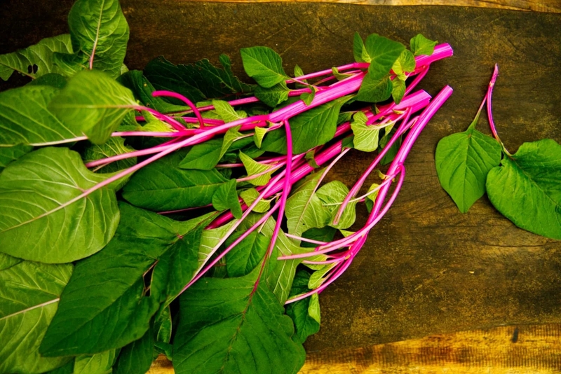 Rau dền chứa nhiều sắt và canxi, là lựa chọn tốt cho bé khi bắt đầu ăn dặm