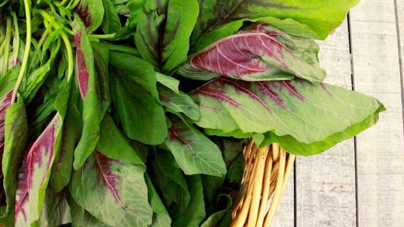 Điểm danh các loại rau giảm cân đứng đầu trong thực đơn giảm cân 3