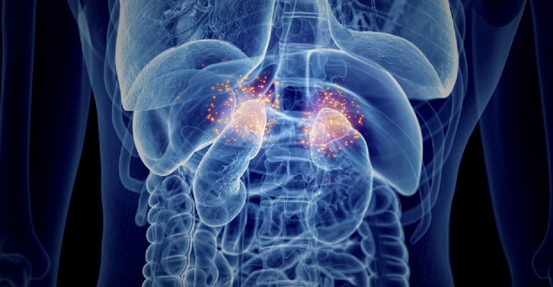 cac-loai-roi-loan-noi-tiet-thuong-gap-hien-nay 3.jpg