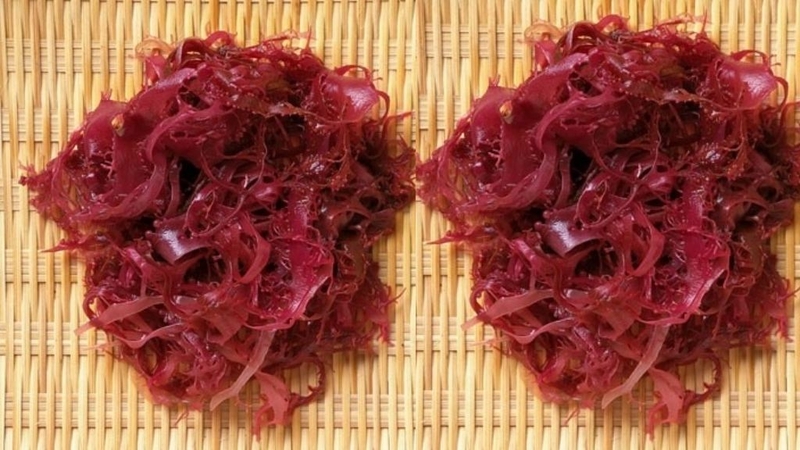 Các loại rong biển tươi ngon mà bạn nên cân nhắc lựa chọn! 4