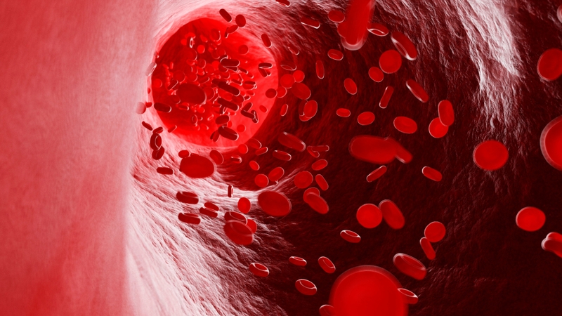 Các loại sữa bổ sung sắt cho người thiếu máu 1