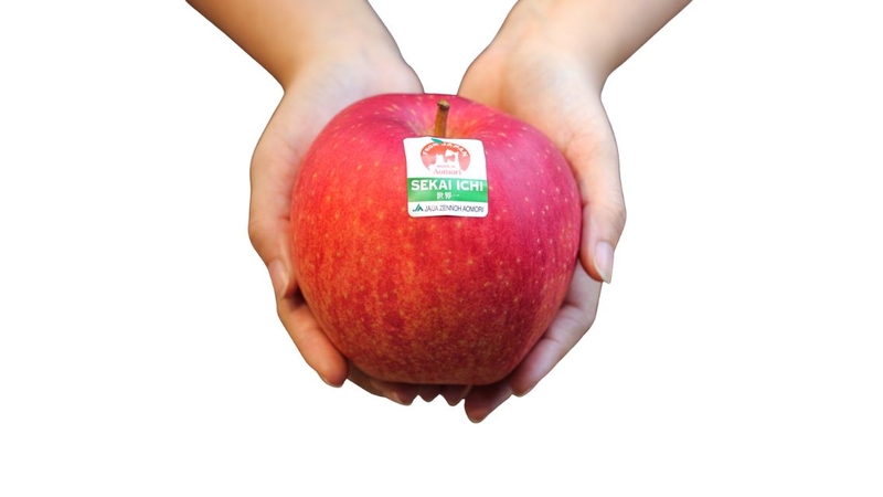 Táo Sekai Ichi, có nghĩa là “Nhất Thế Giới”, nổi tiếng với kích thước cực lớn và hình thức đẹp