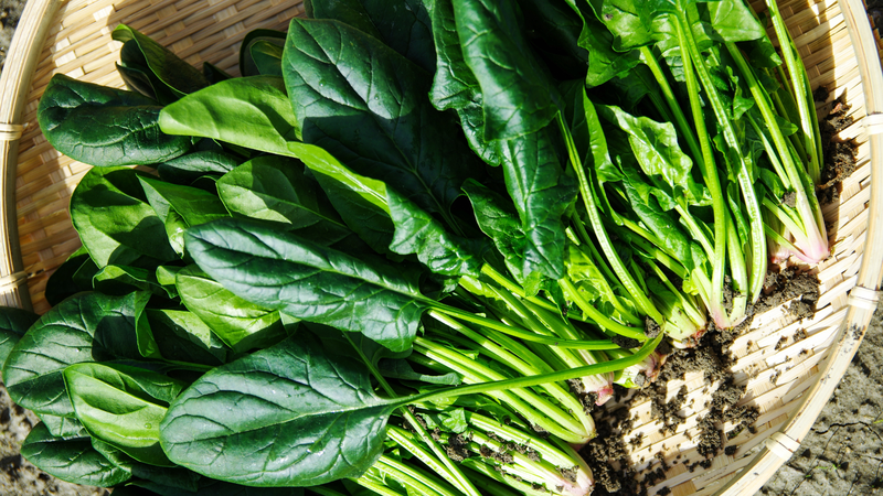 Các loại thực phẩm giàu kali hơn chuối 3