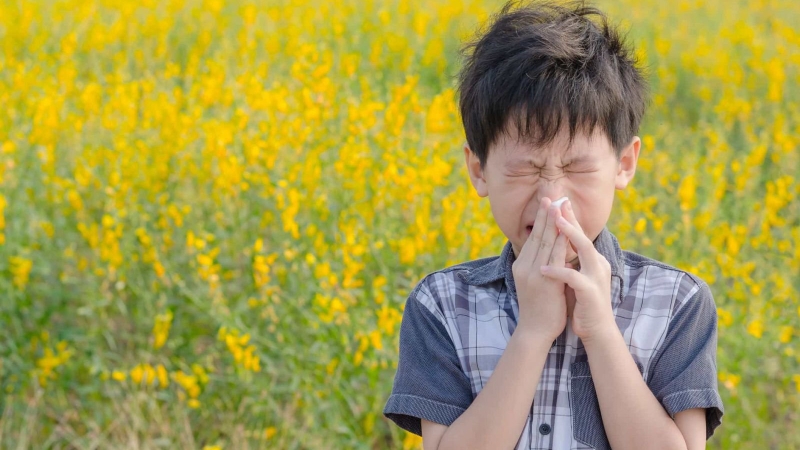 Dị ứng phấn hoa thường gặp vào những ngày nắng ấm, khô và lộng gió