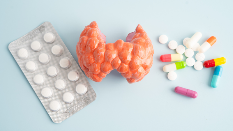 Tuyến giáp có vai trò điều hòa chu kỳ sinh sản