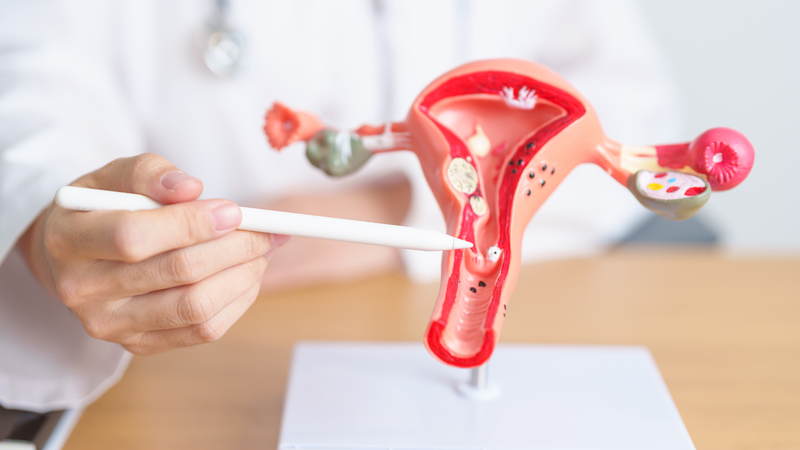 Tác động của thuốc lên sức khỏe sinh sản nữ giới thường phức tạp