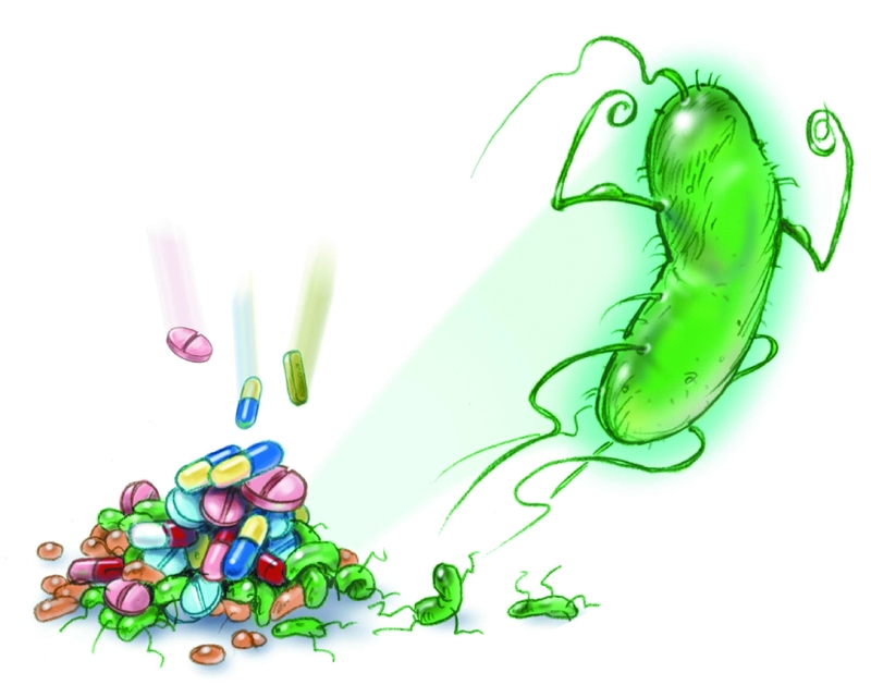 Mỗi loại kháng sinh có tác dụng đặc biệt trên từng loại vi khuẩn cụ thể