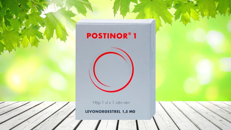 Thuốc tránh thai khẩn cấp và những điều bạn cần biết trước khi sử dụng 4