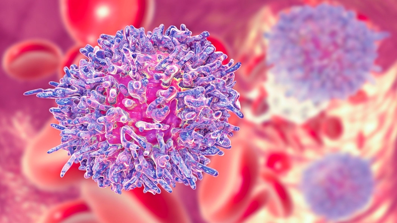 HTLV-1 là virus tấn công tế bào lympho T và có liên quan đến bệnh bạch cầu tế bào T ở người trưởng thành