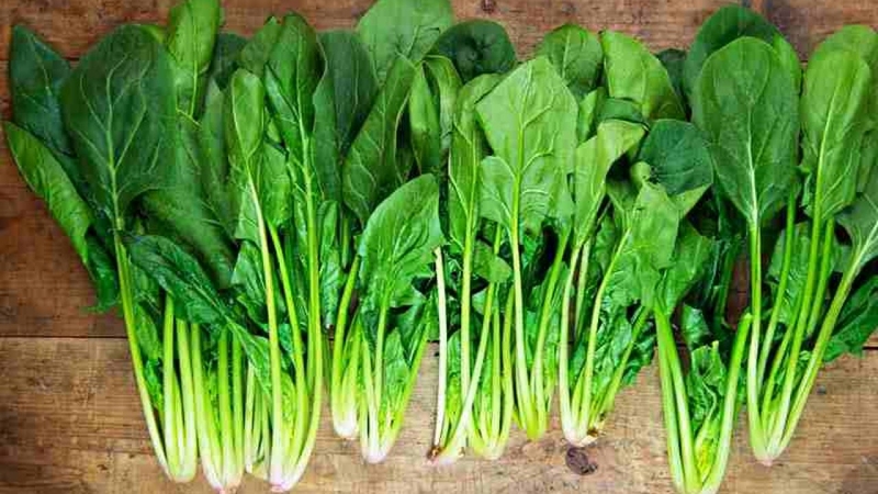 Các loại vitamin nhóm B: Những điều cần biết 3