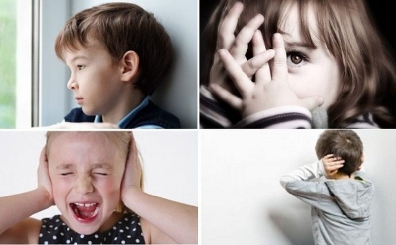 Các mức độ rối loạn phổ tự kỷ.