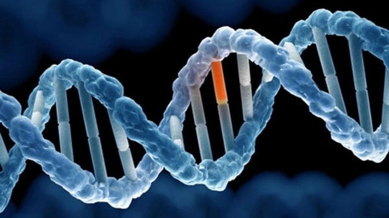 Các nguyên nhân đa nang buồng trứng: Hiểu rõ để phòng ngừa 2